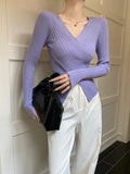 Light purple fitted ribbed knit top