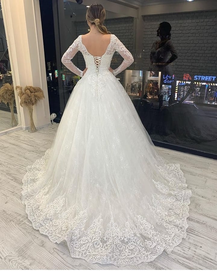 Daisda Classy Long Sleeve V-neck Backless Tulle A-Line Wedding Dress With Appliques Lace